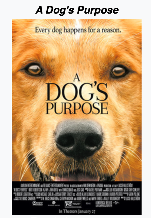 A Dog's Purpose (2017)